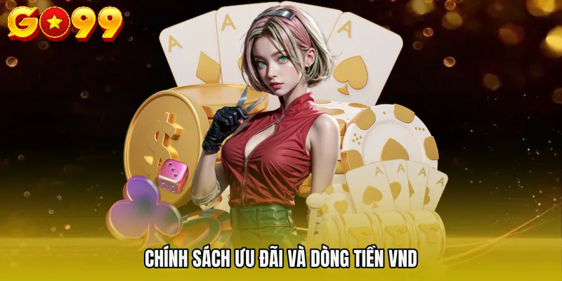 Chính sách ưu đãi và dòng tiền VND