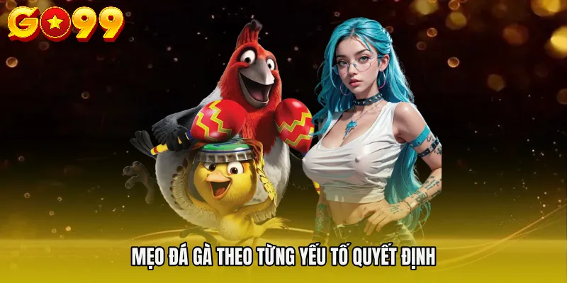 Mẹo đá gà theo từng yếu tố quyết định