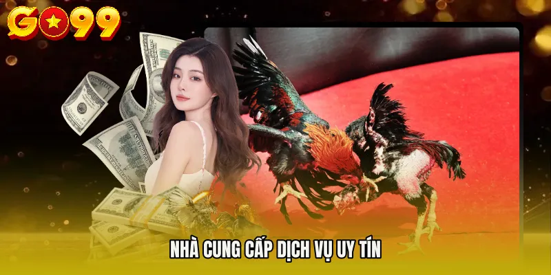 Nhà cung cấp dịch vụ uy tín