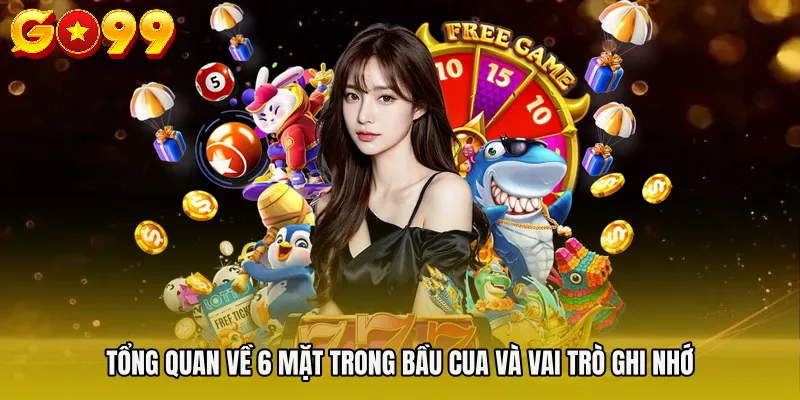 Tổng quan về 6 mặt trong bầu cua và vai trò ghi nhớ