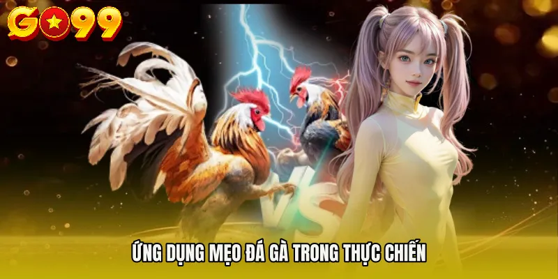 Ứng dụng Mẹo đá gà trong thực chiến